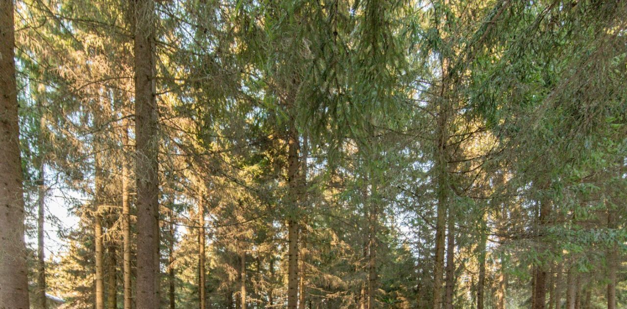 дом г Истра ДЗ Шервуд тер., Нахабино фото 35