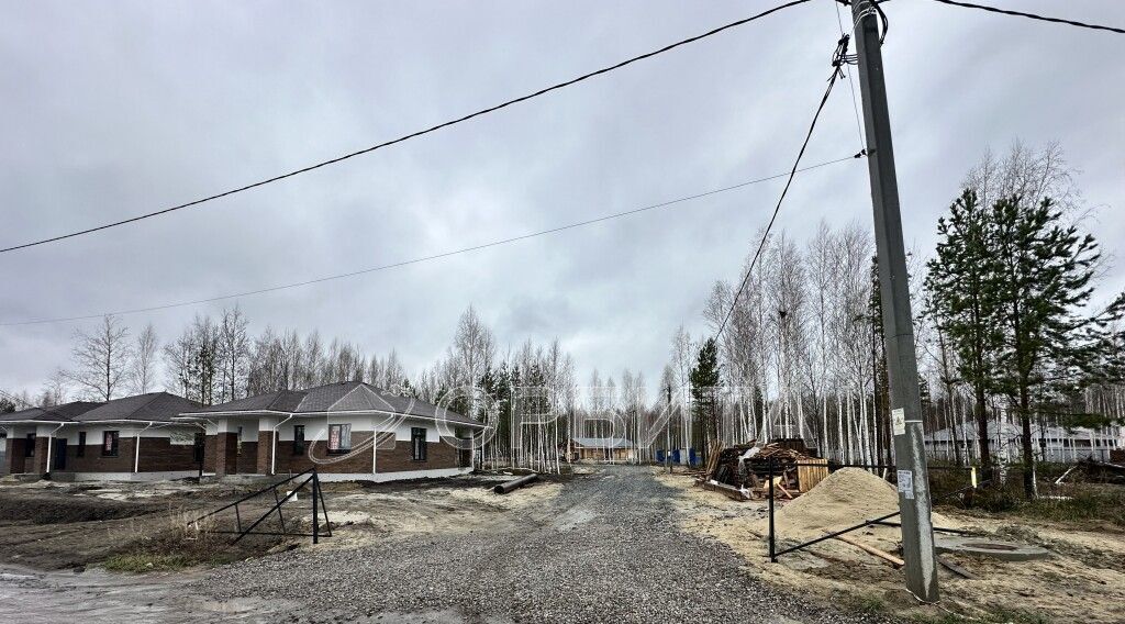 земля г Тюмень р-н Центральный снт Медик ул. Морковная, 87 фото 4