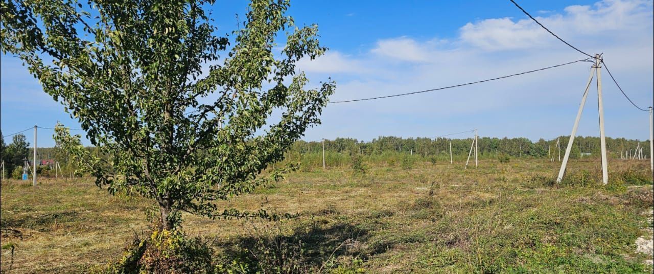 земля г Ступино 50 км, коттеджный пос. Новое Лисичкино, Михнево, Новокаширское шоссе фото 10