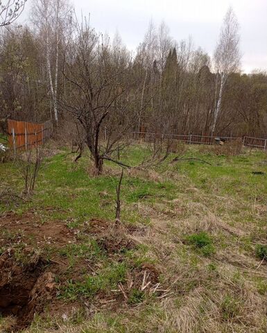 Богашёвское сельское поселение, садовое товарищество Магистраль-4, Лоскутово фото