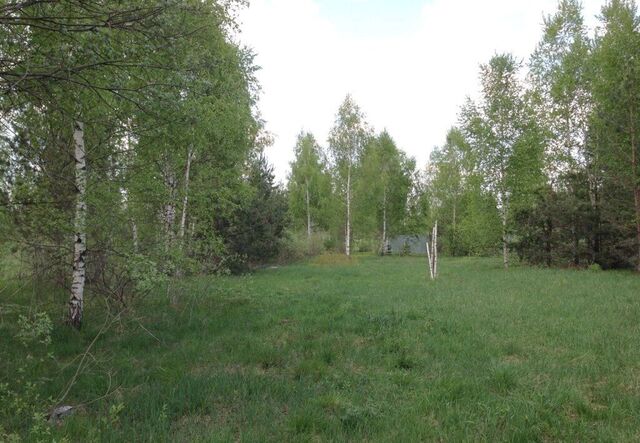 земля 23 км, Варшавское шоссе фото