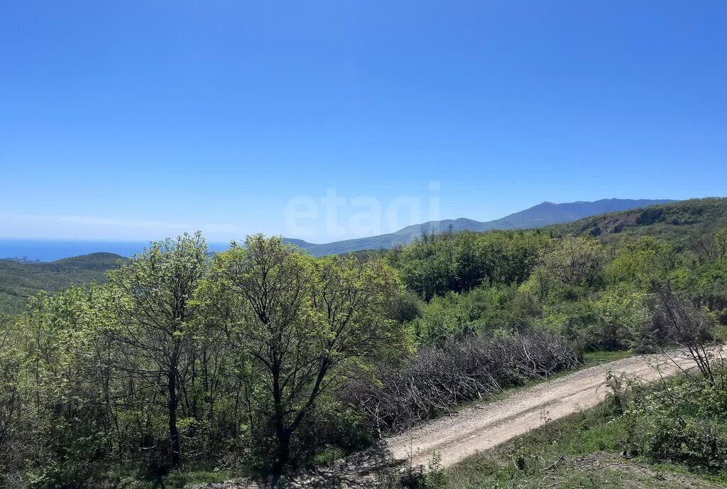 земля г Алушта п Лаванда микрорайон Кольцевой фото 8