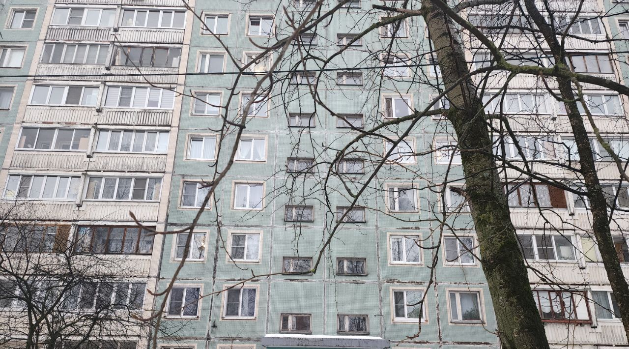квартира г Санкт-Петербург метро Гражданский Проспект пр-кт Культуры 21к/4 фото 25