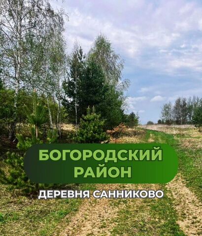 Ворсма фото