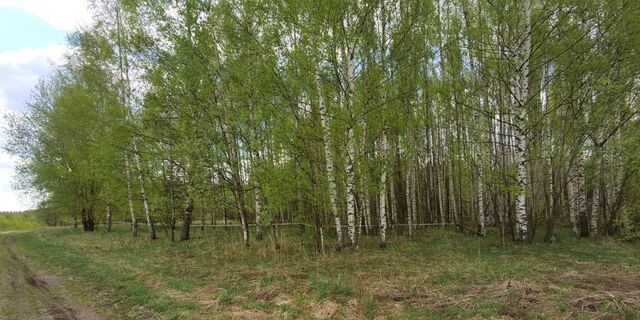 земля г Чкаловск д. Кузнецово Кузнецовский сельсовет фото