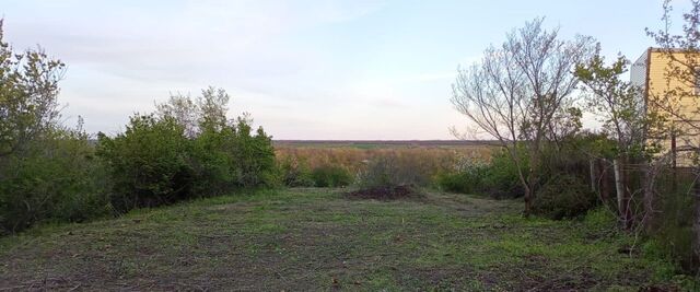 снт Спутник садоводческое товарищество фото