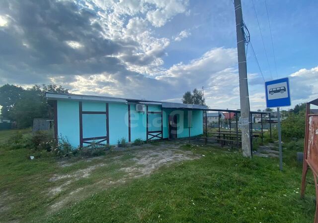 ул Аэропортная 1а Нетьинское сельское поселение, Брянск фото