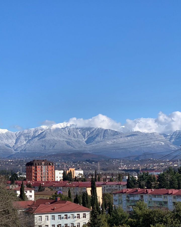 квартира г Сочи р-н Адлерский ул Куйбышева 5 фото 14