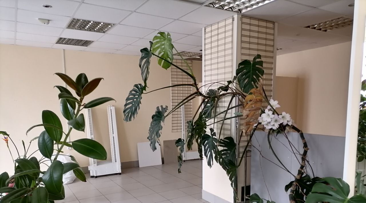 торговое помещение г Красноуральск ул Ленина 53 фото 13