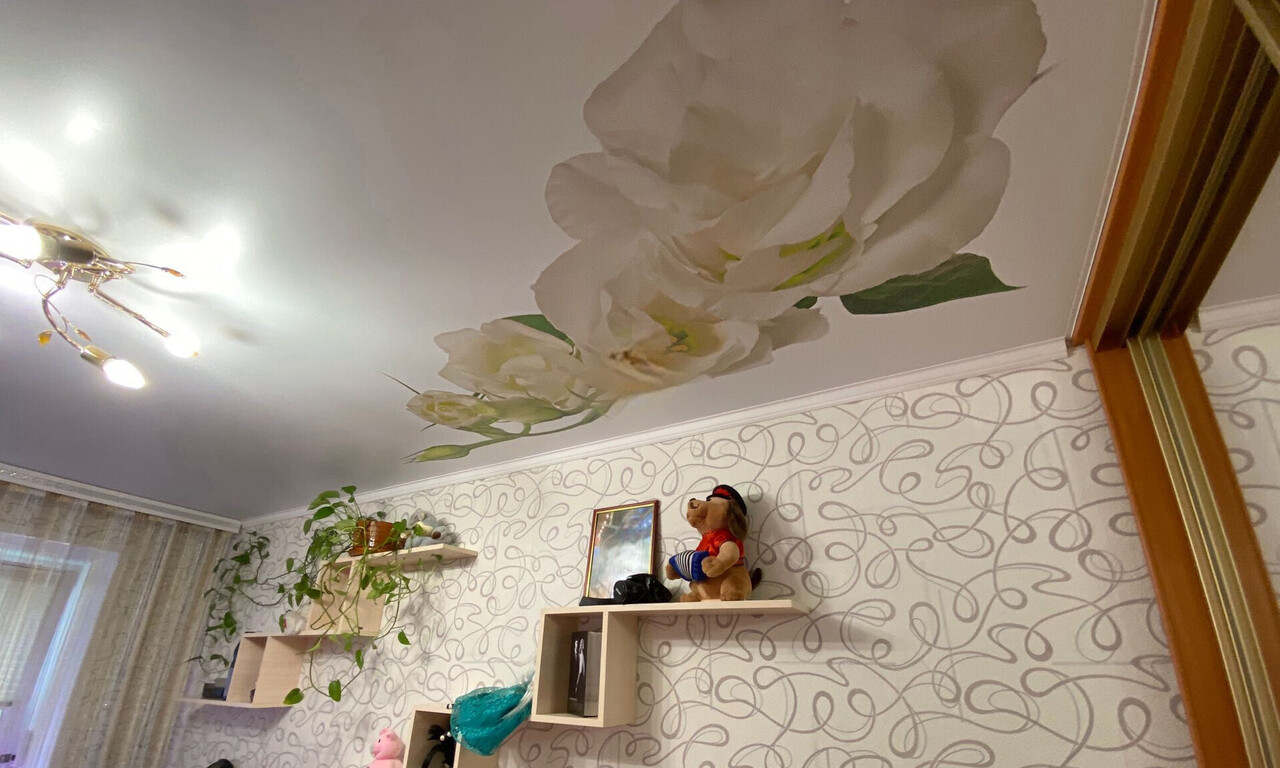 квартира г Нижний Новгород Карповка Пролетарская ул Героя Попова 35/1 м-н фото 13