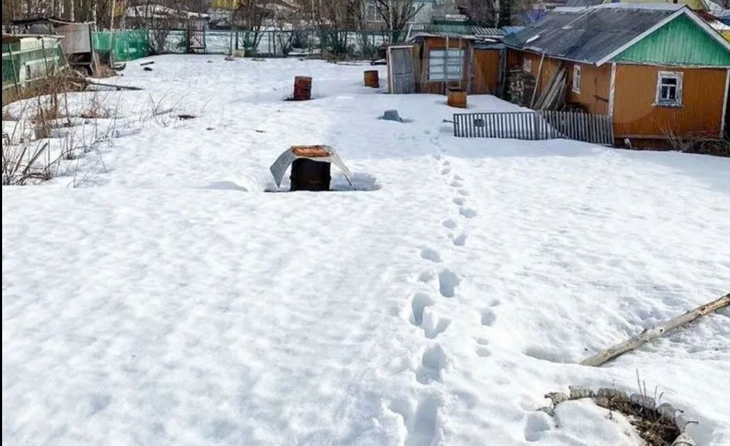 дом г Сыктывкар территория Дырносский фото 2