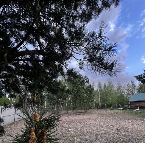 р-н Железнодорожный дачное товарищество, садовое, Сосенки фото
