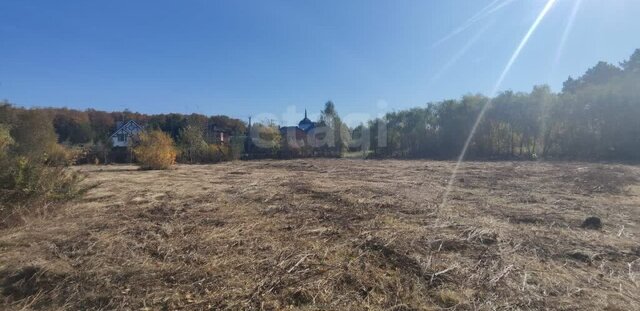 п Поливаново ул Центральная Подольск фото