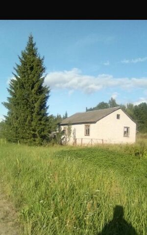 д. Исаково Локнянская волость, ул. Сосновая фото