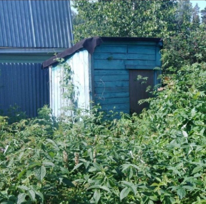 земля городской округ Богородский г Ногинск снт Елочка 25 фото 2
