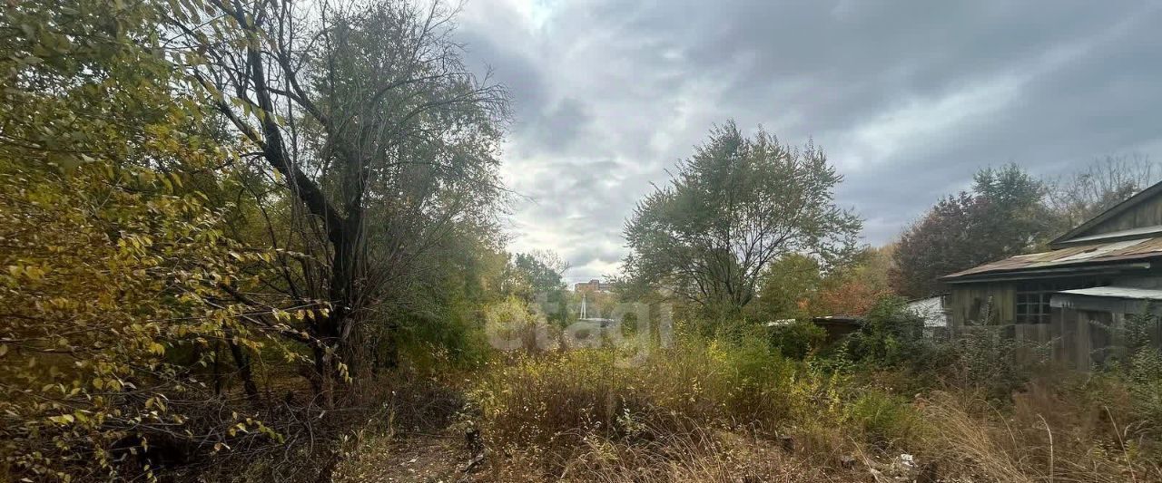 земля г Благовещенск ул Красноармейская 232 фото 4