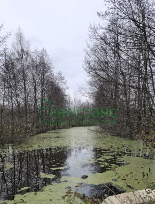 земля г Брянск р-н Володарский ул Фосфоритная 2 фото 13
