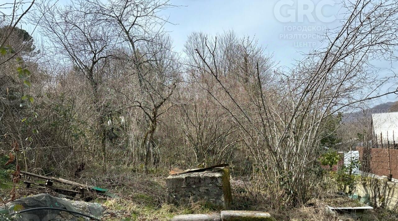 земля г Сочи с Пластунка ул. Джапаридзе фото 4