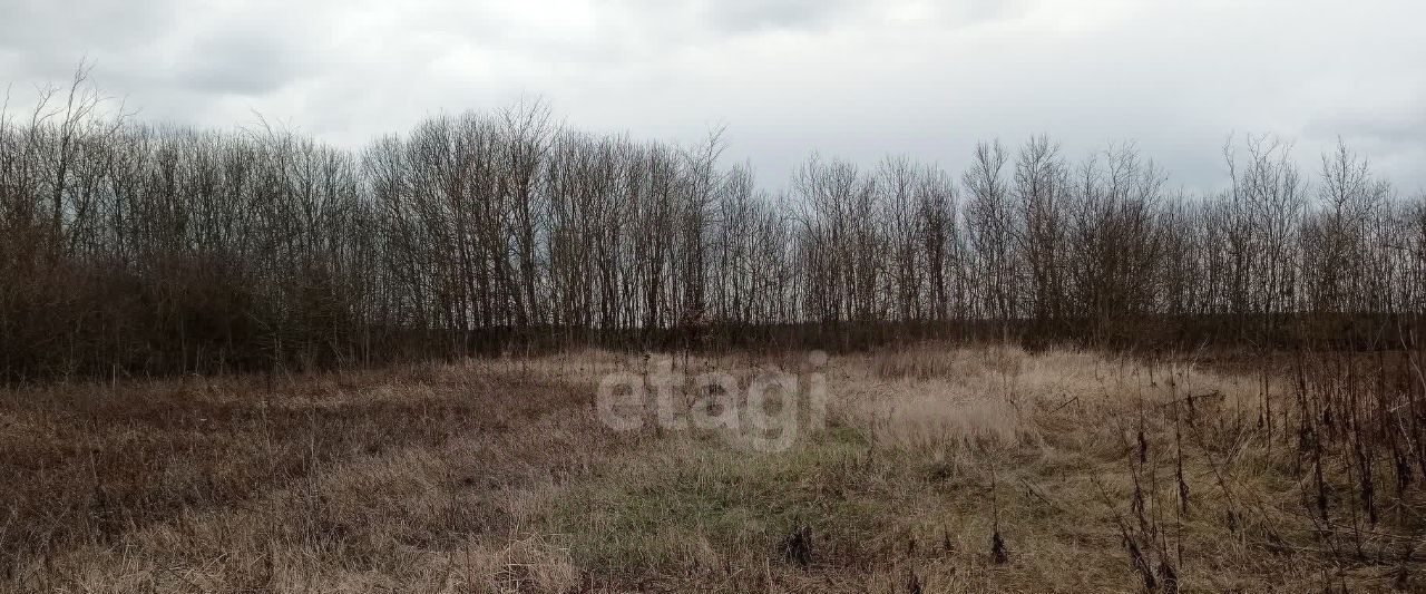 земля г Горячий Ключ х Красный Восток фото 3
