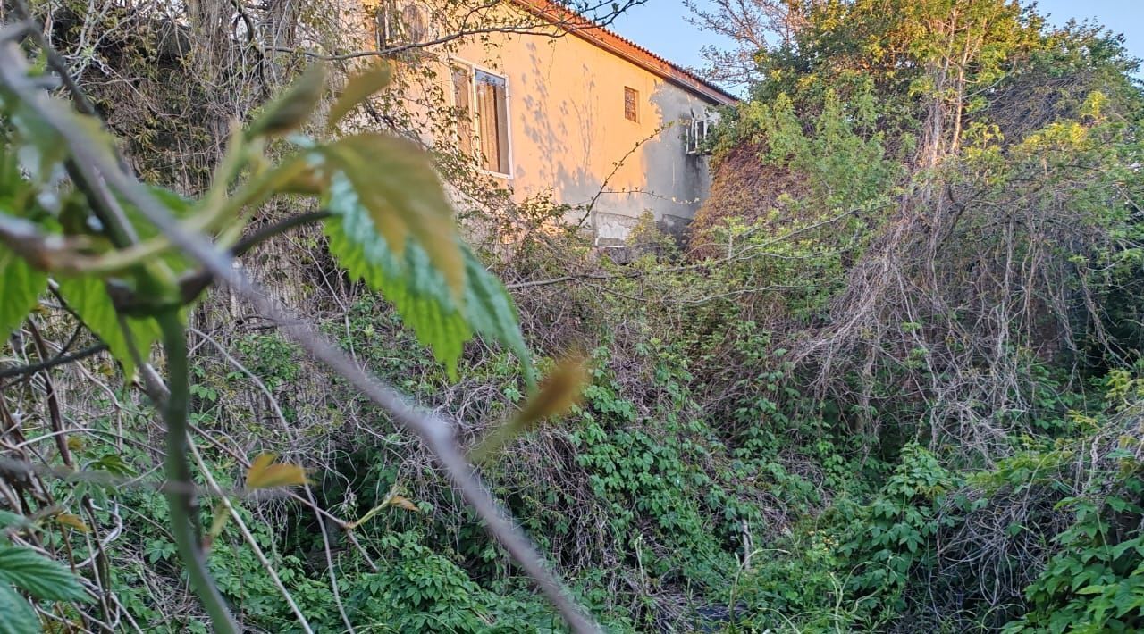 земля г Феодосия Ближние Камыши ул Механизаторов 3 фото 4
