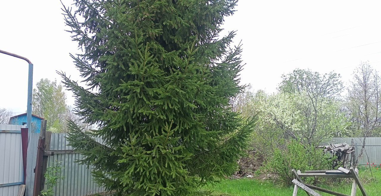 дом р-н Городецкий г Заволжье снт Юбилейный фото 28