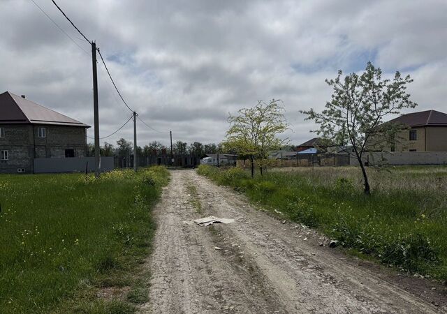 дачное некоммерческое товарищество Южное фото