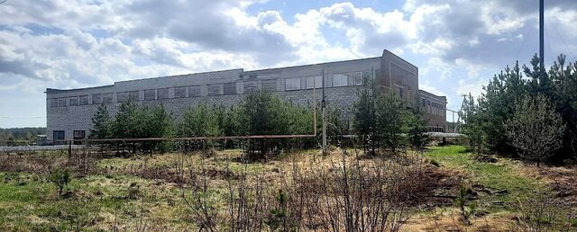 п Лесозавод 24, Асбестовский муниципальный округ фото