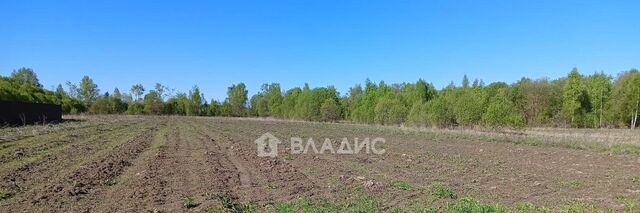 ул Центральная д. Кожухово фото ул Центральная д. Кожухово фото