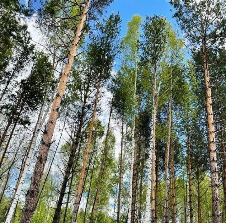 земля г Первоуральск Алексеевка кп фото 5