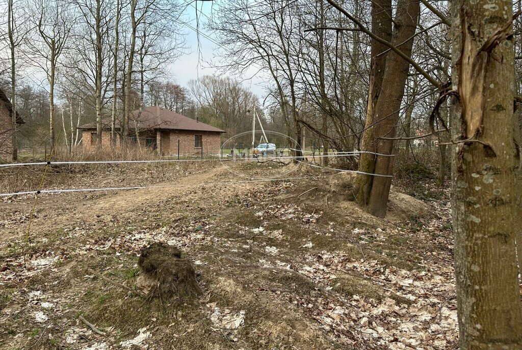 земля р-н Гвардейский г Гвардейск Озерковское территориальное управление фото 5