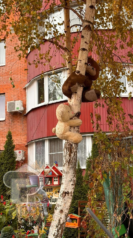 квартира г Балашиха Ольгино МЦД-4, Граничная ул. Ольгино мкр, 38 фото 19
