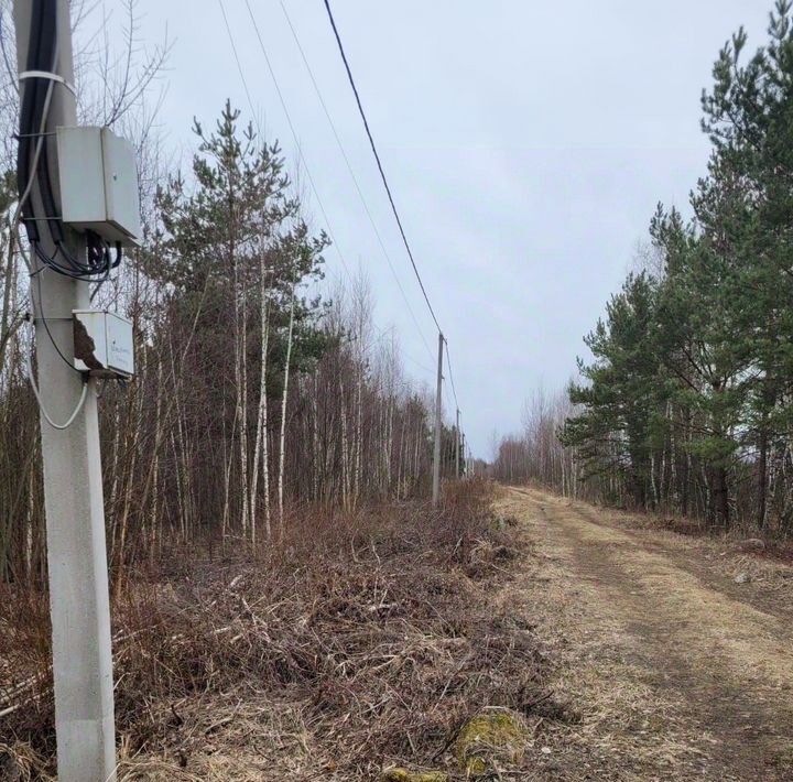 земля г Электрогорск снт Вереск Павлово-Посадский городской округ фото 3