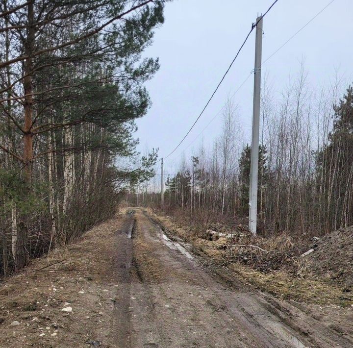 земля г Электрогорск снт Вереск Павлово-Посадский городской округ фото 4