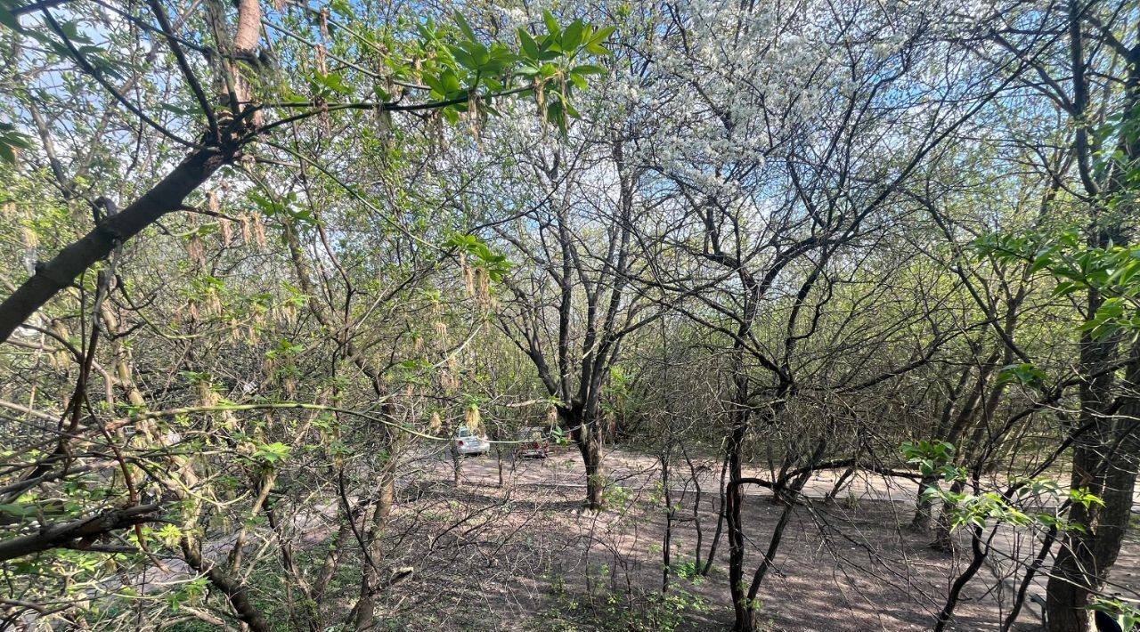 квартира г Подольск п Быково ул Школьная 4 Бунинская аллея фото 10