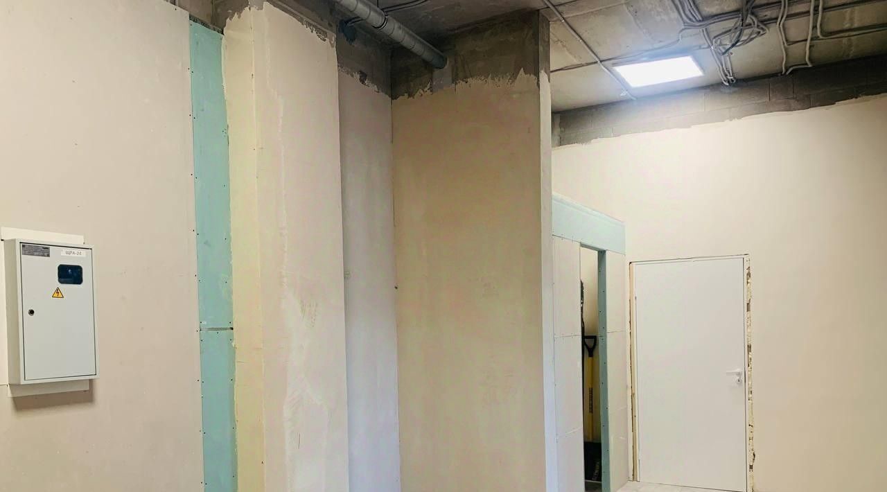свободного назначения г Санкт-Петербург метро Фрунзенская наб Обводного канала 106 округ Измайловское фото 13