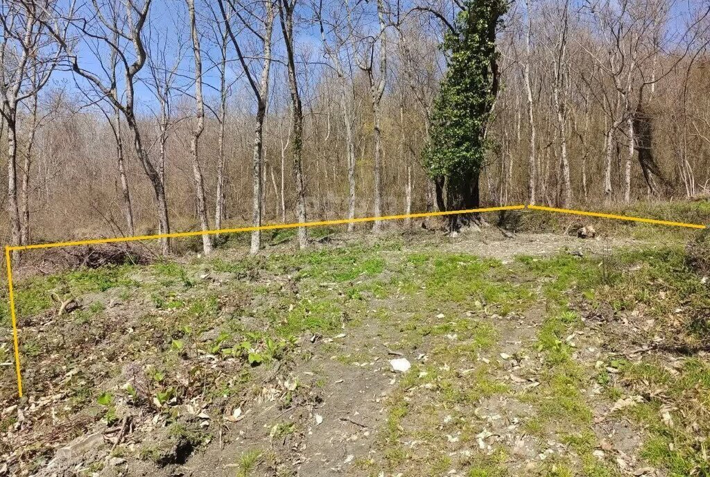 земля г Сочи с Нижняя Беранда Лазаревский район фото 2
