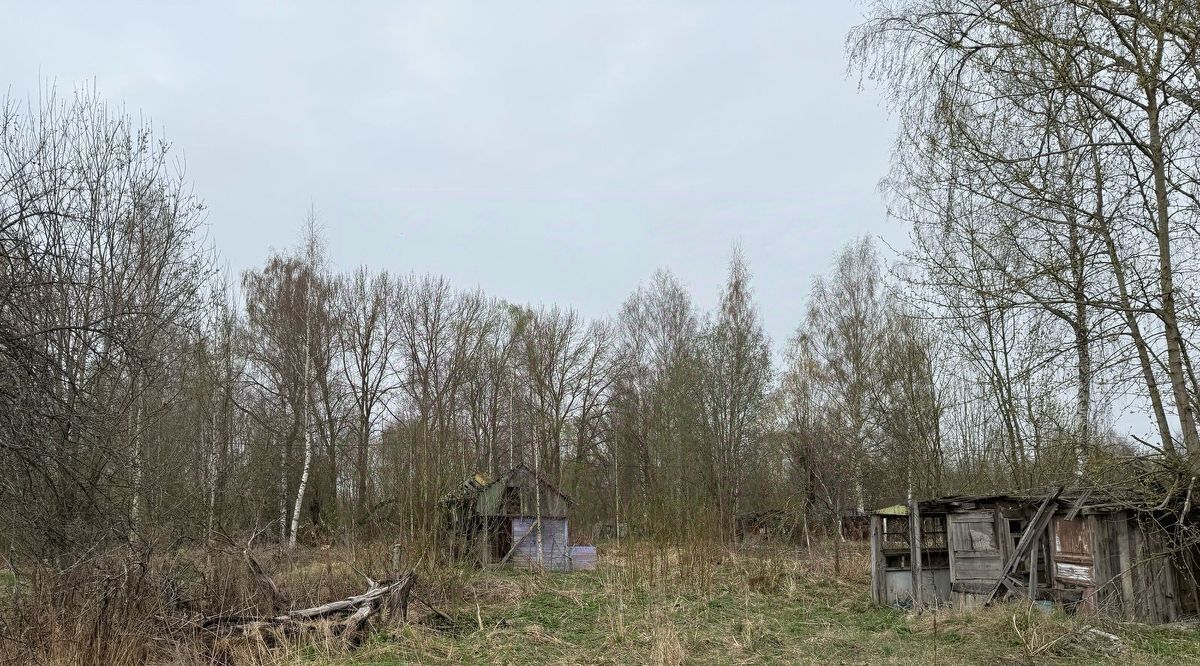 земля г Павловск метро Купчино фото 1