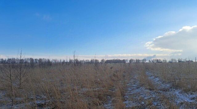 д Малеево Новотарасково фото
