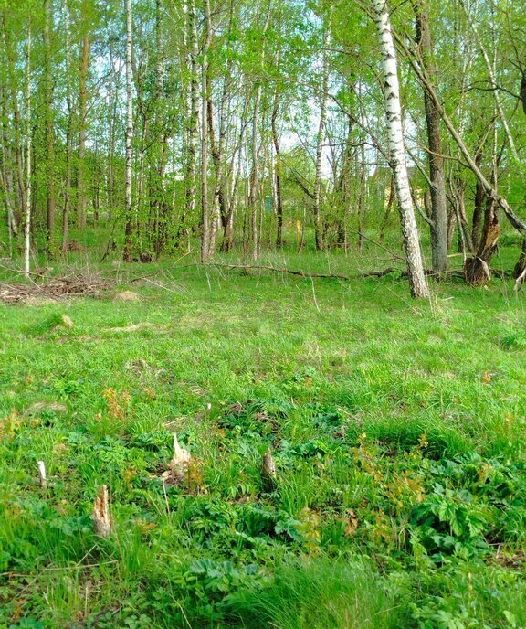 земля г Калуга д Лихун посёлок Молодёжный ул Молодёжная фото 1