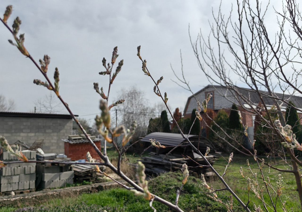 земля г Армавир ул Мира 487 фото 2