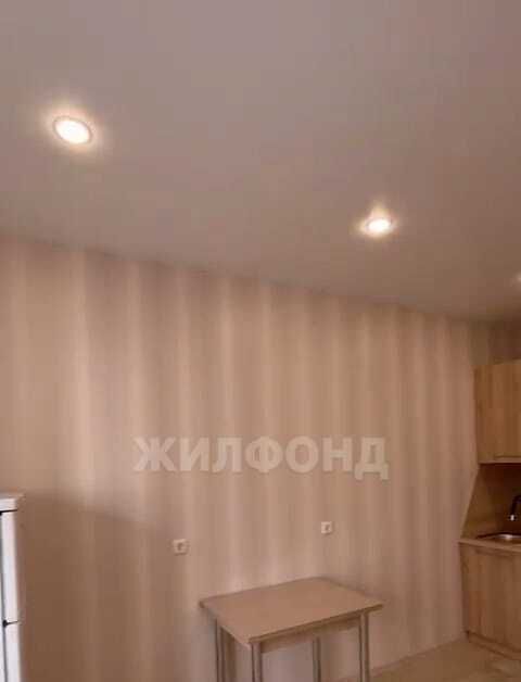 квартира г Новосибирск р-н Октябрьский Золотая Нива ул Гурьевская 177/1 фото 2