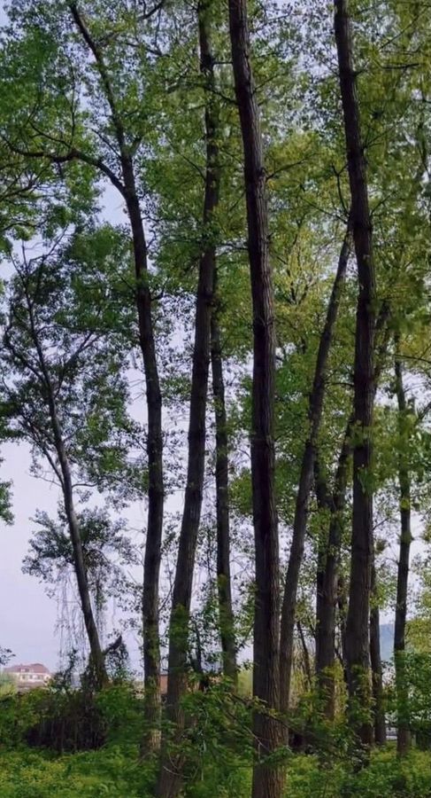 квартира г Махачкала р-н Кировский Благородная ул., 13 фото 20