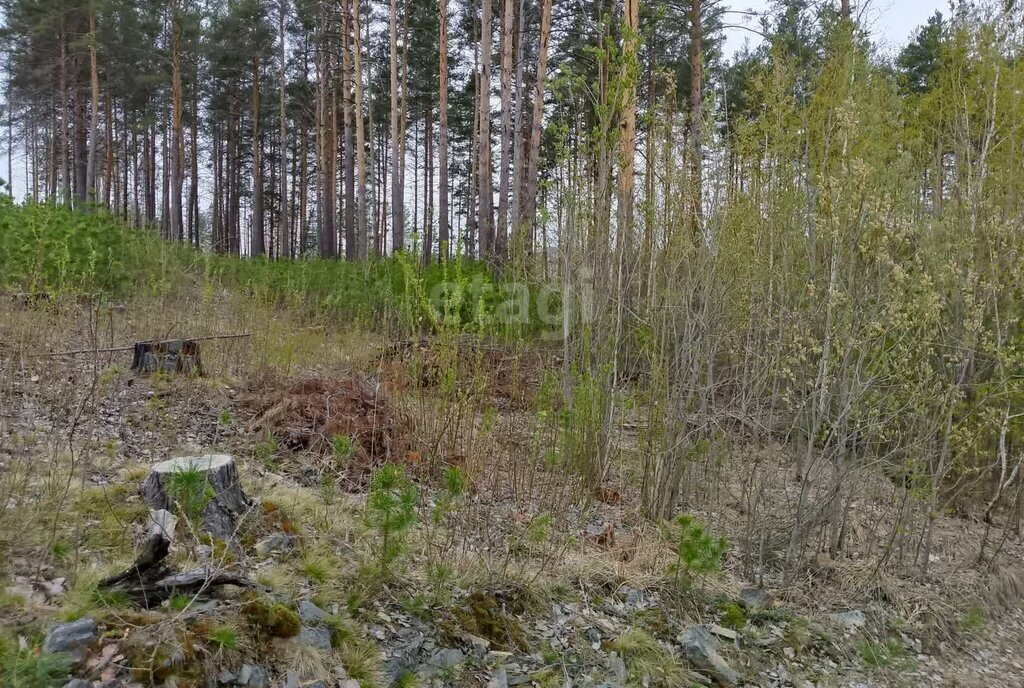 земля г Кыштым ул Ясная фото 3