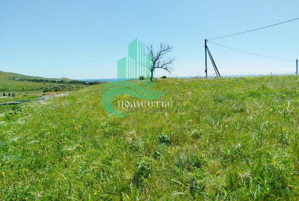 земля г Феодосия пгт Коктебель садово-огородническое товарищество Коктебель фото 1