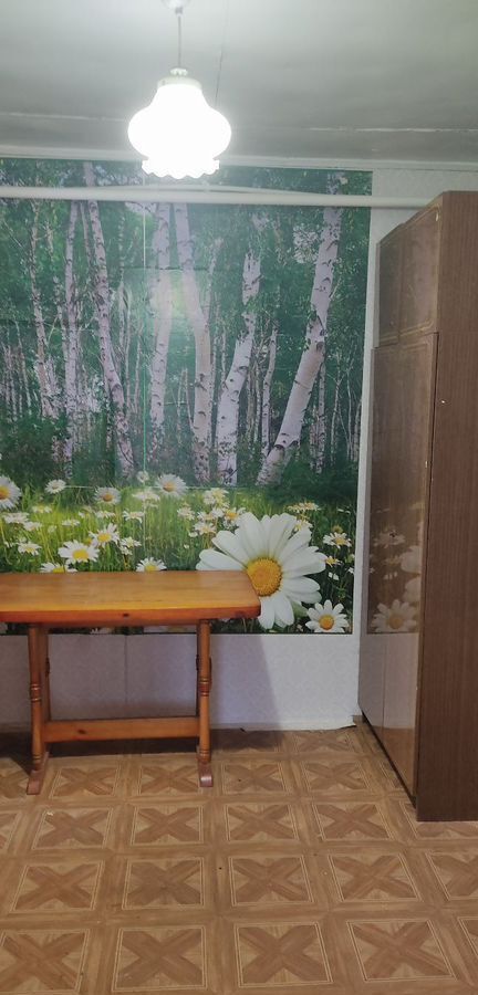 дом г Балашиха мкр Купавна ул Ломоносова 9583 км, Носовихинское шоссе фото 3