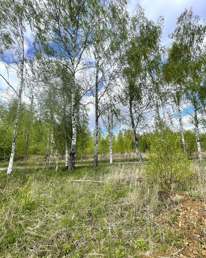 дом г Нижний Новгород ул Школьная 3 Кстово, с. Безводное фото 26