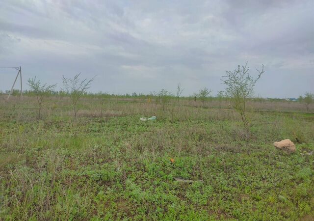 ул Рябиновая Новоалександровский сельсовет, Бузулук фото