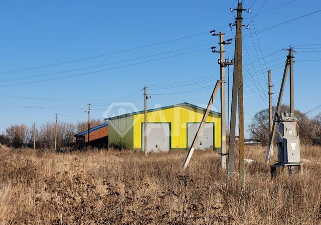 ул Центральная 1 Республика Татарстан Татарстан, Шигалеевское сельское поселение, Пестрецы фото