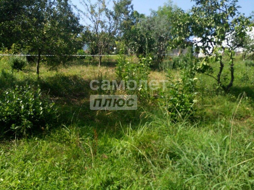 земля г Сочи р-н Адлерский с Красная Воля ул Солнечная фото 2