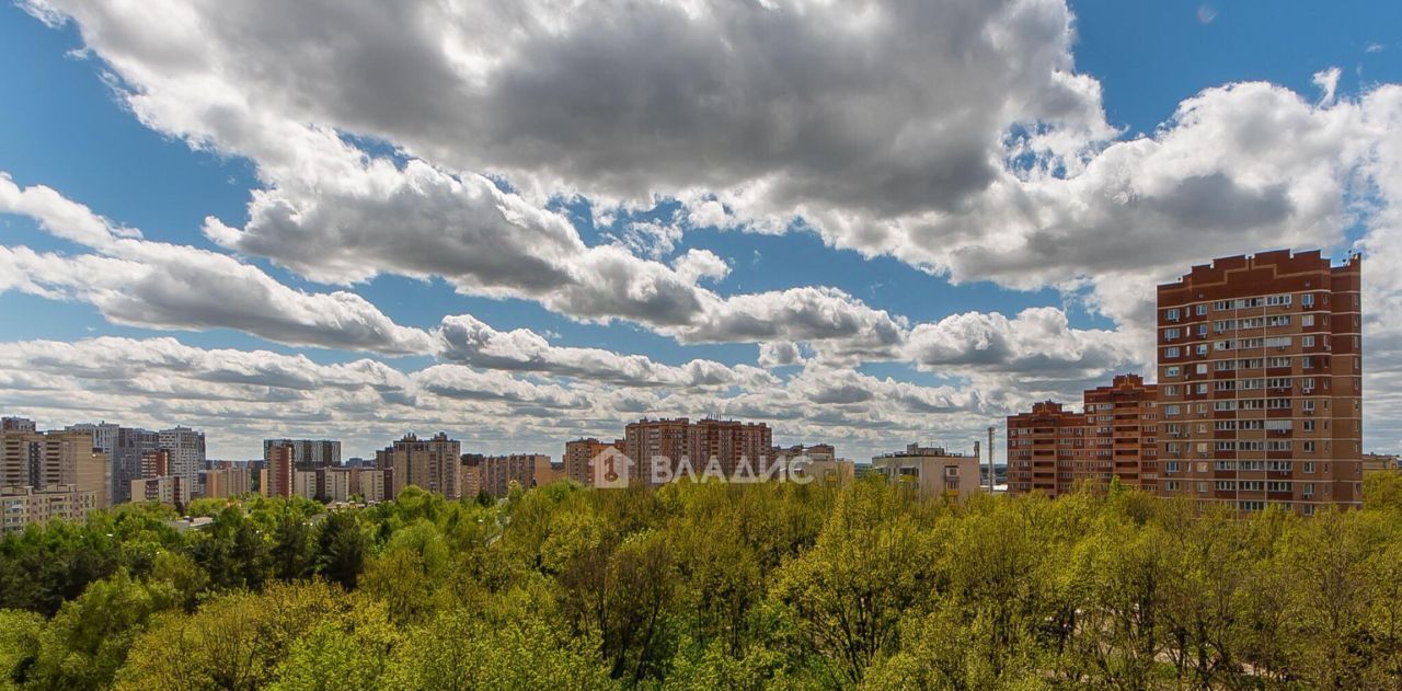 квартира г Москва п Сосенское п Коммунарка ул Бачуринская 8к/1 метро Коммунарка фото 29